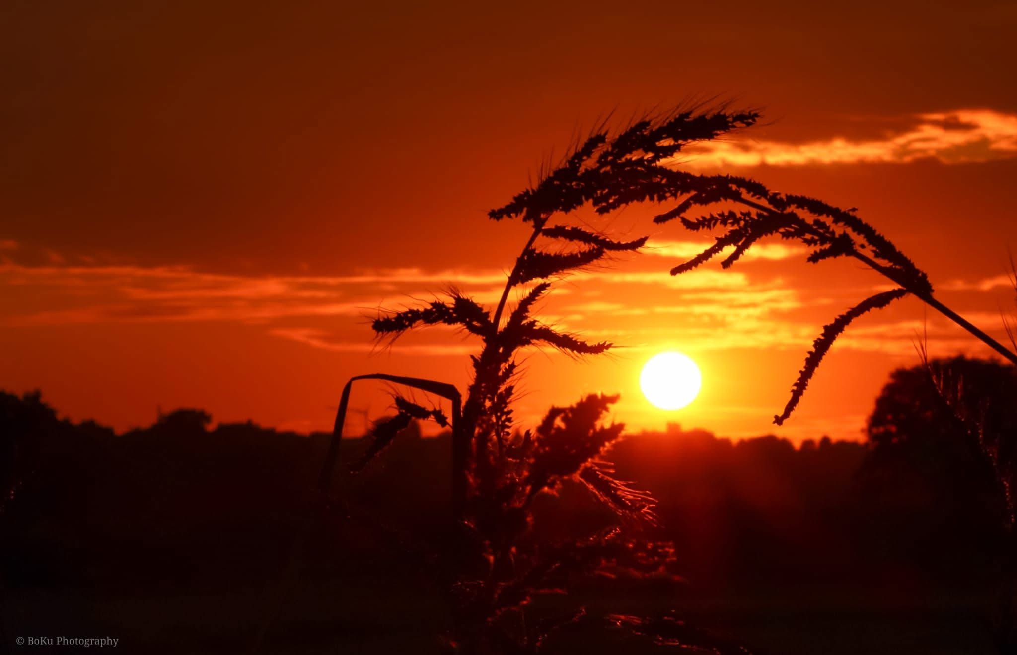 Sonnenuntergang in Meschenich